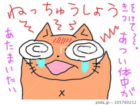 目が大きい猫の熱中症 105780212