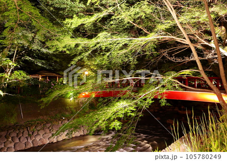 修善寺温泉　夜景 105780249