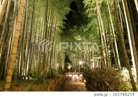 修善寺温泉　夜景 105780254