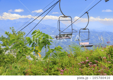 高山植物満開の五竜高山植物園 高山植物満開の五竜高山植物園 105780410