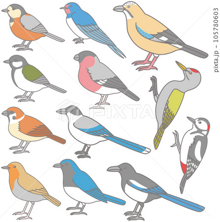 森の野鳥　イラスト素材　横向き　シジュウカラ　キツツキ 105780603