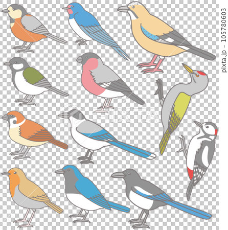 森の野鳥　イラスト素材　横向き　シジュウカラ　キツツキ 105780603