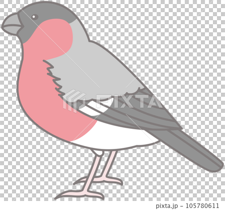 Liar wild bird illustration material sideways 105780611