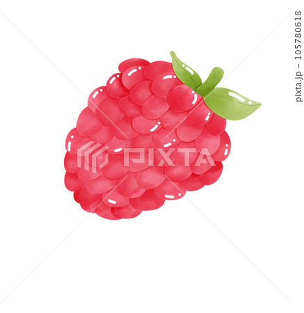 Raspberry 105780618