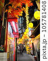 夜の新宿想いで横丁 105781408