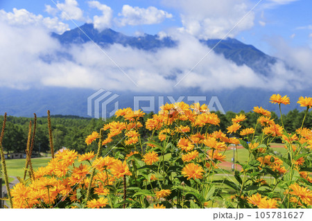 花満開の富士見高原リゾート　ロマンスエリア 105781627