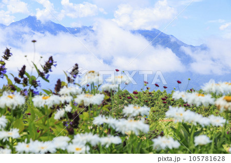 花満開の富士見高原リゾート　ロマンスエリア 105781628
