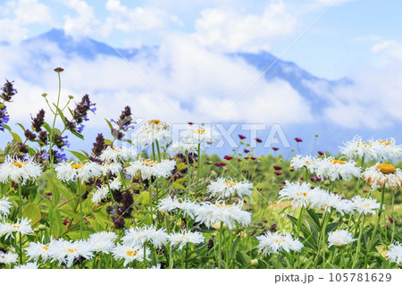 花満開の富士見高原リゾート　ロマンスエリア 105781629