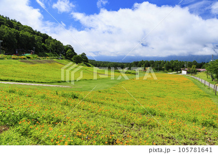 花満開の富士見高原リゾート ロマンスエリア 花満開の富士見高原リゾート ロマンスエリア 105781641