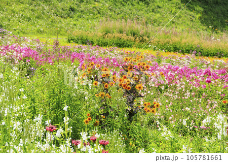 花満開の富士見高原リゾート　ロマンスエリア 105781661