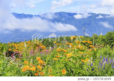 花満開の富士見高原リゾート ロマンスエリア 花満開の富士見高原リゾート ロマンスエリア 105781699