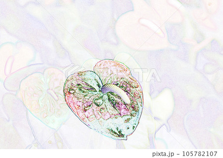 パステル調 ”アンスリューム” イラストイメージ パステル調 ”アンスリューム” イラストイメージ 105782107