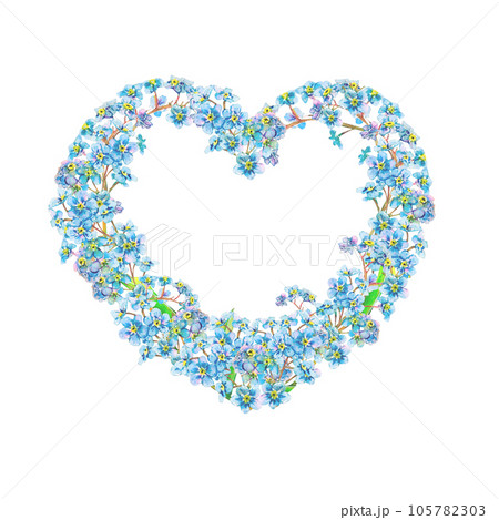 Forget-me-not flowers heart-shaped frame hand-drawn on white background. Tender watercolor illustration of flower heads isolated. Meadow wildflower scillfully painted for photo, cards, logo, stickers 105782303
