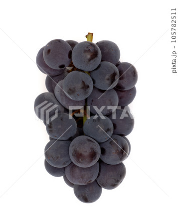 ブドウ　種無しピオーネ 105782511