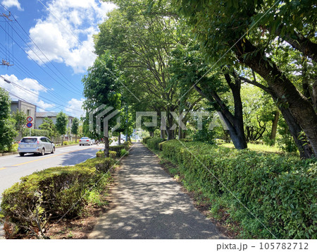 夏の街並み 歩道 夏の街並み 歩道 105782712