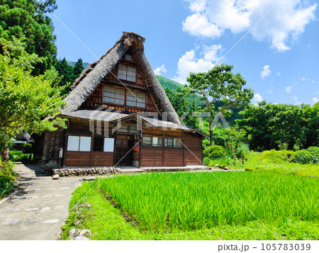 夏の五箇山・菅沼合掌造り集落 105783039