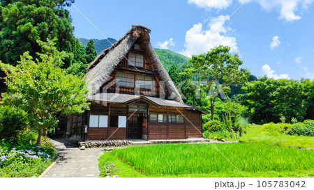 夏の五箇山・菅沼合掌造り集落 夏の五箇山・菅沼合掌造り集落 105783042
