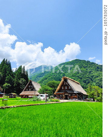 夏の五箇山・菅沼合掌造り集落 夏の五箇山・菅沼合掌造り集落 105783072