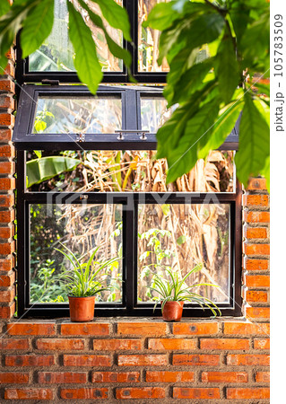 Brick wall with big window, greenery patio area. Brick wall with big window, greenery patio area. 105783509