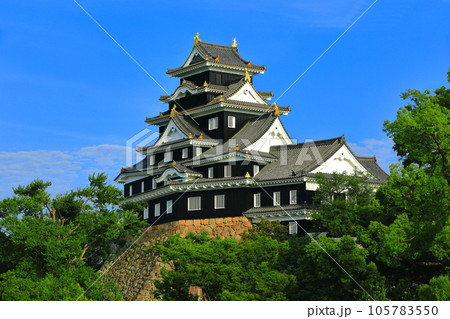 【岡山県】晴天の岡山城(令和の大改修後) 【岡山県】晴天の岡山城(令和の大改修後) 105783550