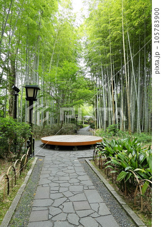 静岡県　修善寺温泉　竹林の小径 105783900