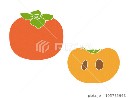 柿と柿の断面カットのイラスト、ベクター素材 柿と柿の断面カットのイラスト、ベクター素材 105783948