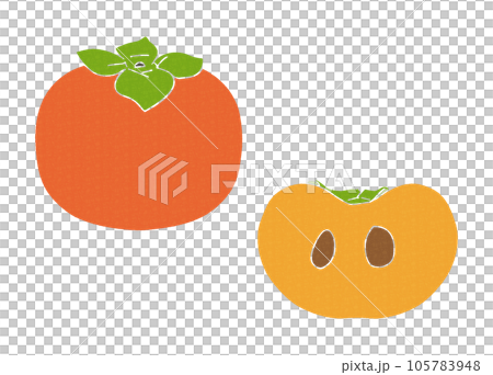 柿と柿の断面カットのイラスト、ベクター素材 柿と柿の断面カットのイラスト、ベクター素材 105783948
