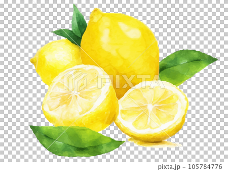 水彩檸檬、圓片和葉子的插圖（生成 AI） 105784776