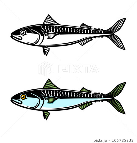 Illustration of mackerel. Design element for logo, label, sign, emblem, poster. Vector illustration 105785235