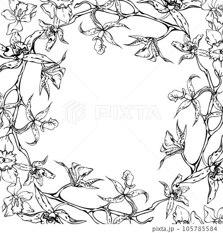 Hand drawn vector ink orchid flowers and branches, monochrome, detailed outline. Circle wreath composition. Isolated on white background. Design for wall art, wedding, print, tattoo, cover, card. 105785584