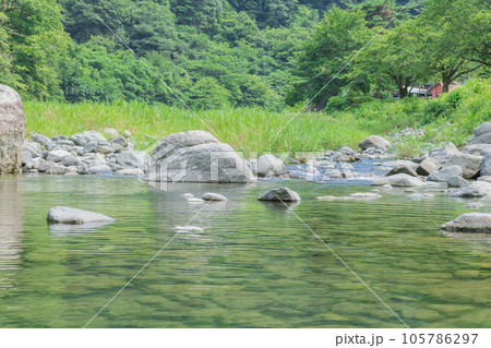 【真夏の道志川】 105786297