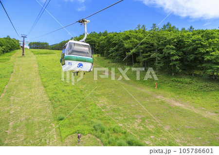 蓼科牧場ゴンドラ＆御泉水自然園 105786601