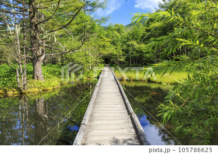 蓼科牧場ゴンドラ&御泉水自然園 蓼科牧場ゴンドラ&御泉水自然園 105786625