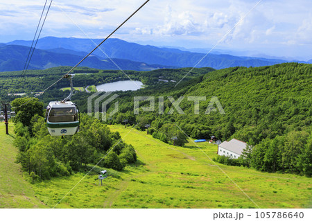 蓼科牧場ゴンドラ&御泉水自然園 蓼科牧場ゴンドラ&御泉水自然園 105786640