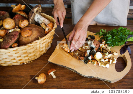 preparation of forest edible mushrooms preparation of forest edible mushrooms 105788199