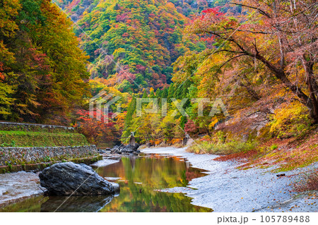 湯瀬渓谷（秋） 105789488