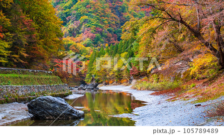 湯瀬渓谷(秋) 湯瀬渓谷(秋) 105789489