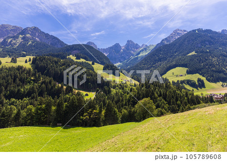 View on the Alps, Switzerland 105789608