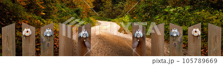 Banner fence with decor owls, autumn background, rustic path 105789669