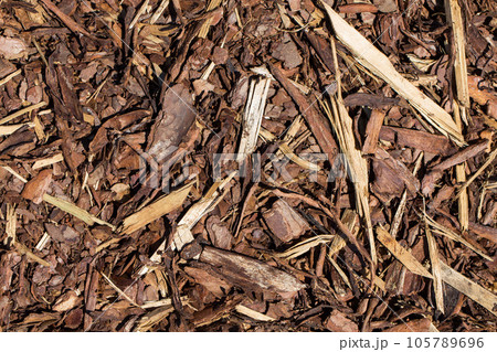 Wooden mulch 105789696