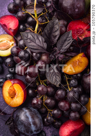 Assortment of purple fruit plum, grape, blueberry and basil Assortment of purple fruit plum, grape, blueberry and basil 105790370