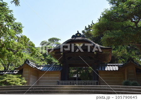 鎌倉　初夏の円覚寺　方丈 105790645
