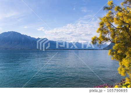 Mountains and lake Geneva Mountains and lake Geneva 105790695