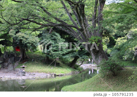 多彩な表情を見せる代表的大名庭園の小石川後楽園 105791235