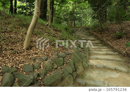 多彩な表情を見せる代表的大名庭園の小石川後楽園 105791236