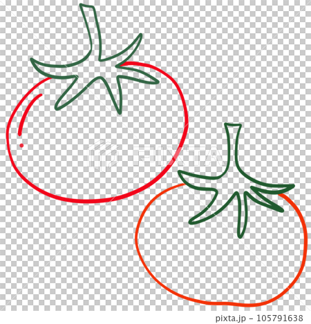 illustration red tomato for decoration 105791638