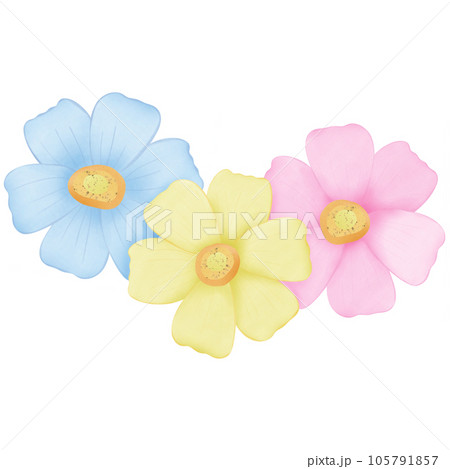 watercolor flowers for decoration watercolor flowers for decoration 105791857