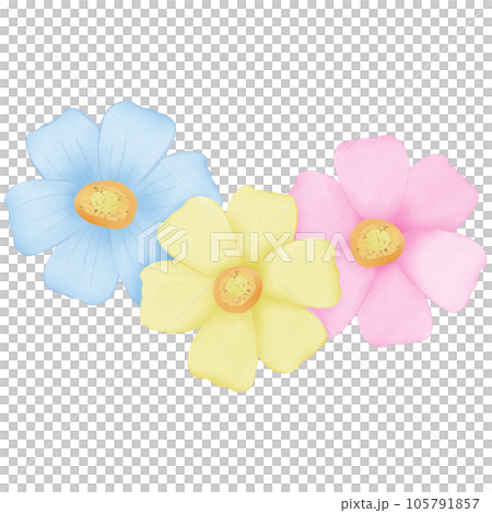 watercolor flowers for decoration watercolor flowers for decoration 105791857