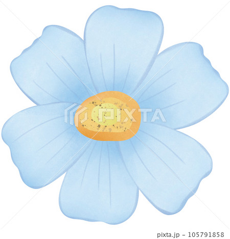 watercolor flowers for decoration watercolor flowers for decoration 105791858