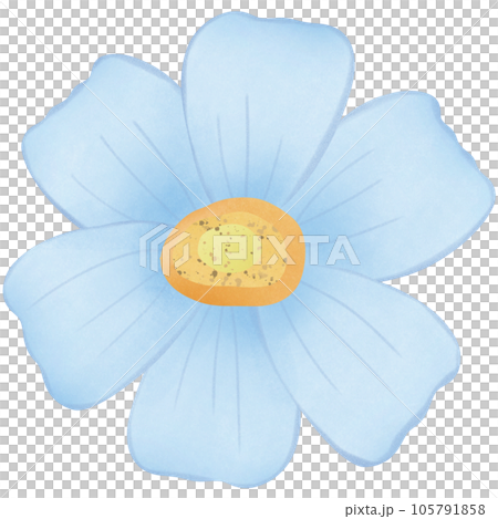 watercolor flowers for decoration watercolor flowers for decoration 105791858